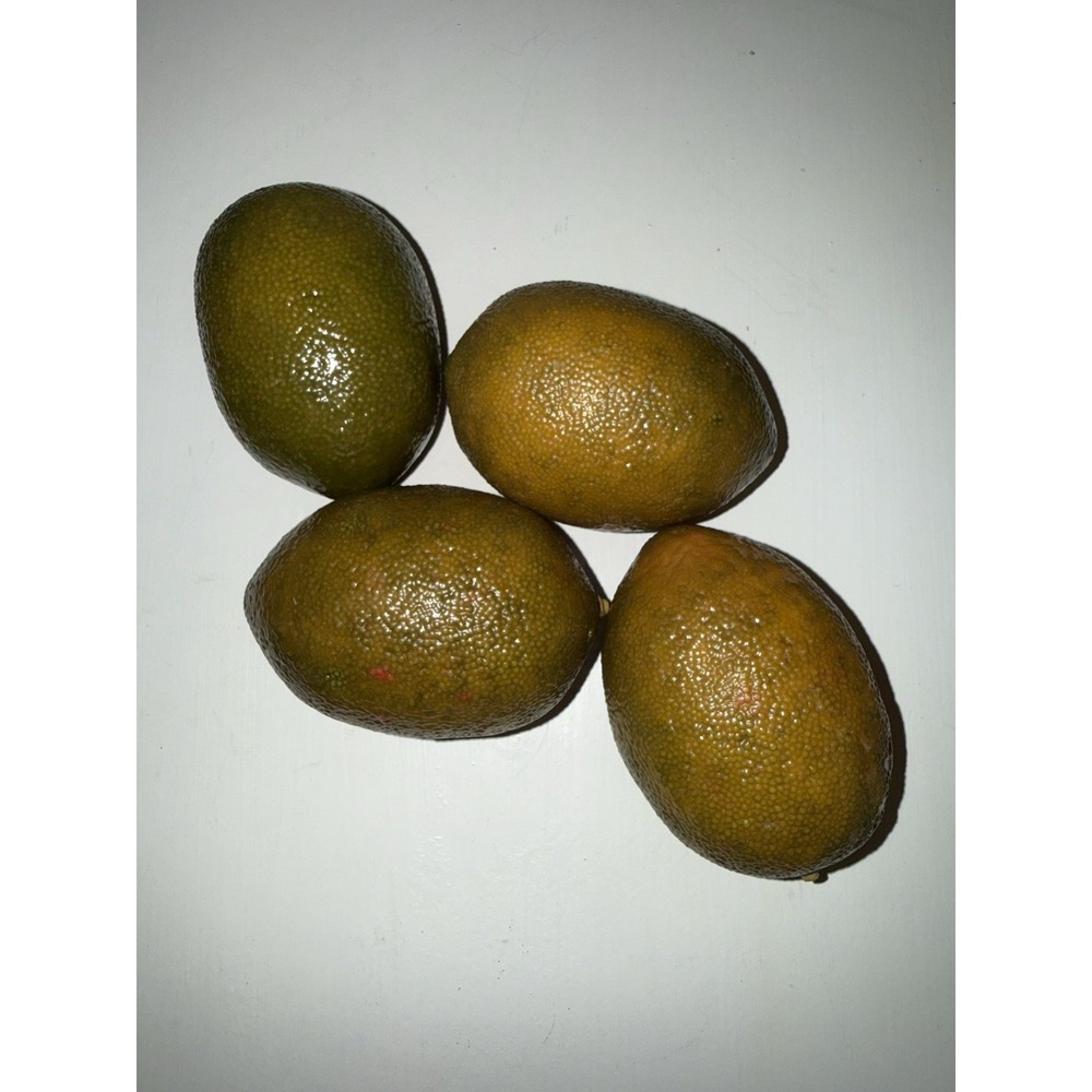 Limes Artificial Faux Fake Fruit Yellow 4Pc Lot Home Decor Realistic Lightweight